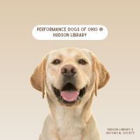 Muddy Dog Day - Perf